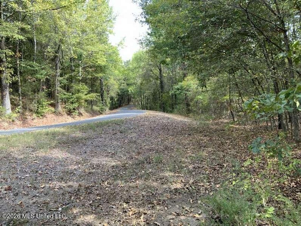 Hunters Chapel Road, Sarah, MS 38665 — photo 4
