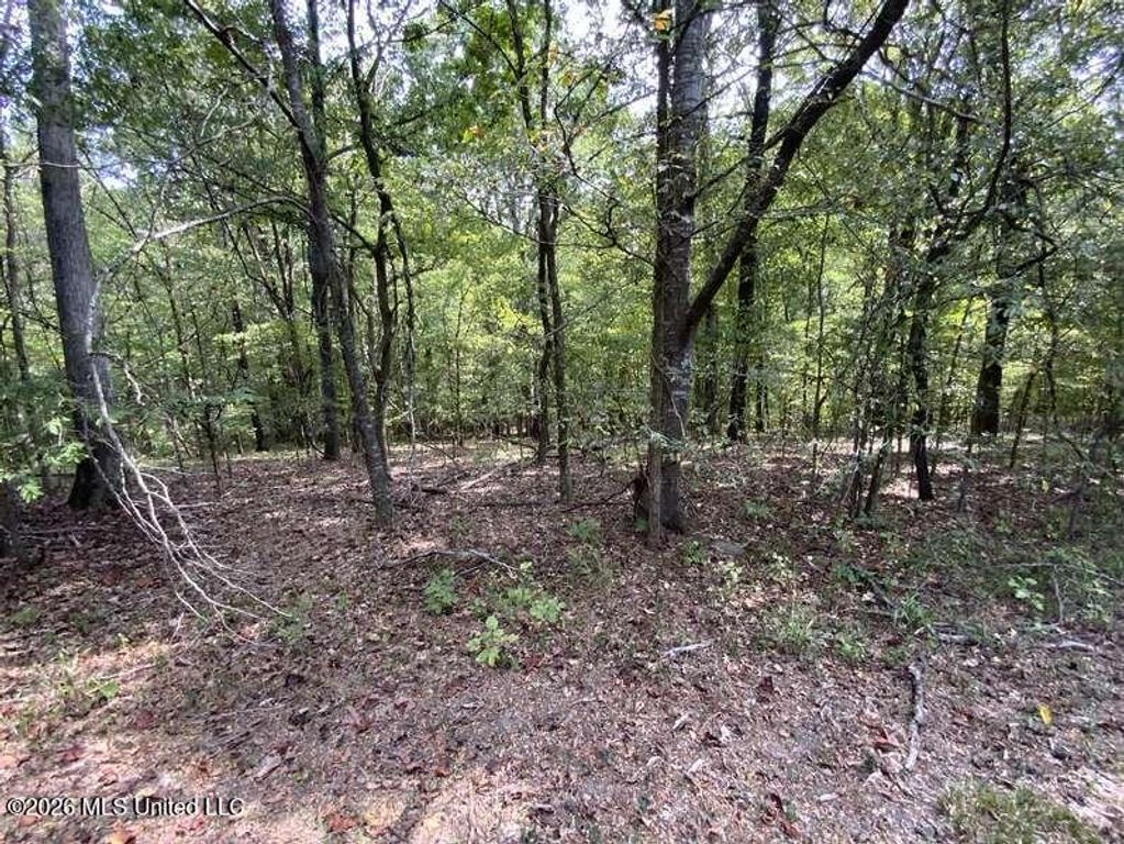 Hunters Chapel Road, Sarah, MS 38665 — photo 5