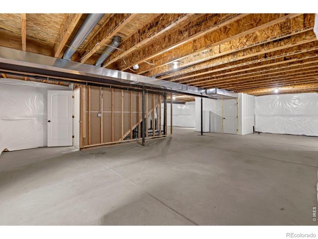 1723 Thrive Drive, Windsor, CO 80550