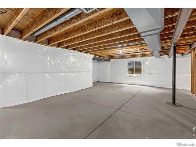 1723 Thrive Drive, Windsor, CO 80550