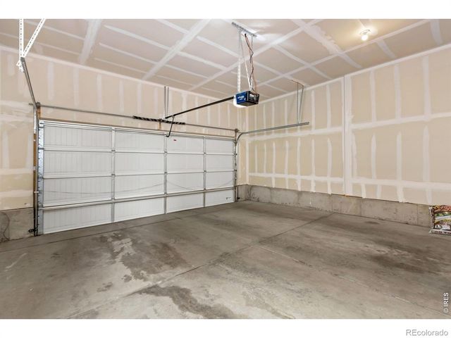 1723 Thrive Drive, Windsor, CO 80550