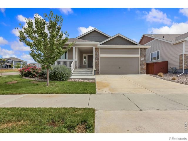 1723 Thrive Drive, Windsor, CO 80550