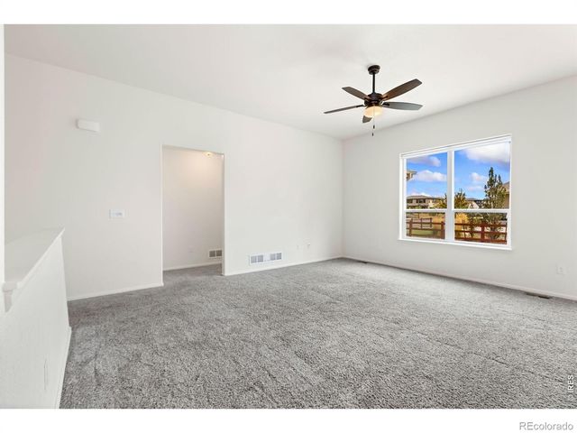 1723 Thrive Drive, Windsor, CO 80550