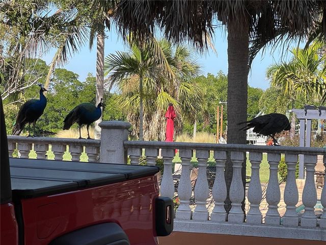 9017 BAYWOOD PARK DRIVE, Seminole, FL 33777