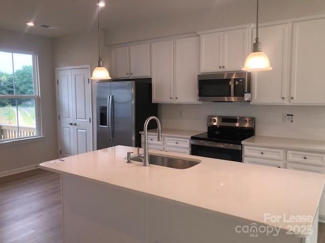 3012 Arbor Ash Street, Charlotte, NC 28208