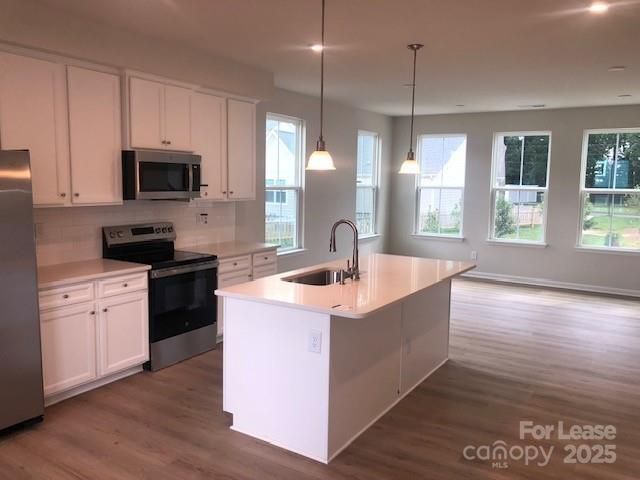 3012 Arbor Ash Street, Charlotte, NC 28208