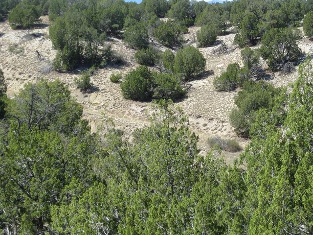 Par 43 Black Horse Dr, Pueblo, CO 81004