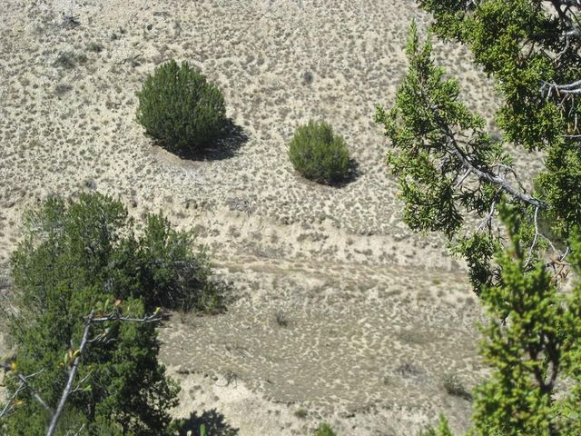 Par 43 Black Horse Dr, Pueblo, CO 81004