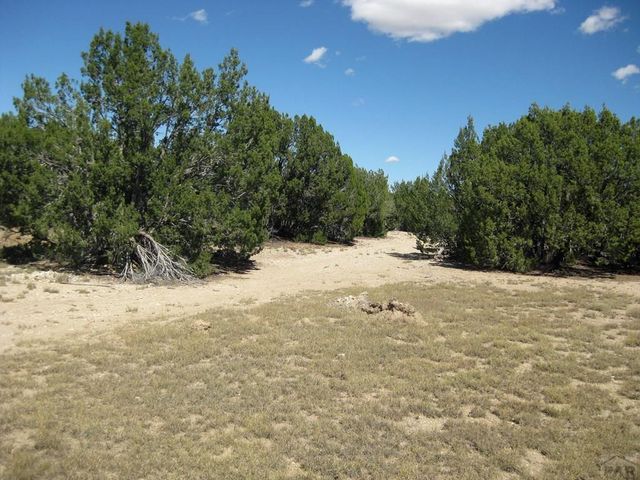 Par 43 Black Horse Dr, Pueblo, CO 81004