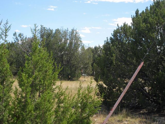 Par 43 Black Horse Dr, Pueblo, CO 81004