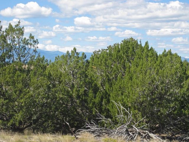 Par 43 Black Horse Dr, Pueblo, CO 81004