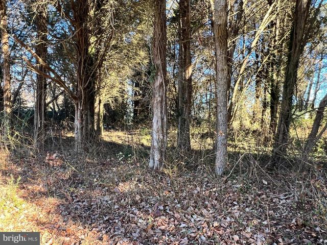 BAY DR, Chaptico, MD 20621