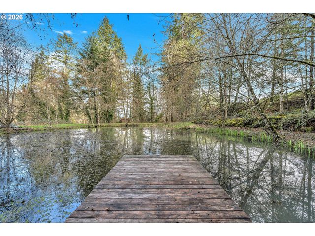 45723 Sw SADDLEBACK Dr, Gaston, OR 97119