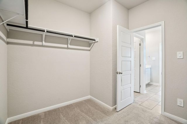 6017 Mockingbird Lodge Lane, Pearland, TX 77584