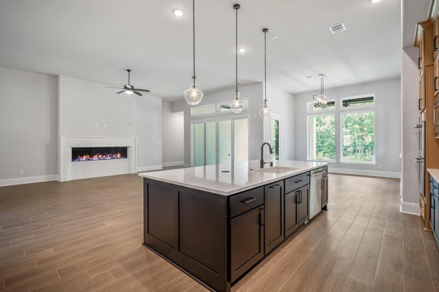 41843 Wendele Way, Todd Mission, TX 77316