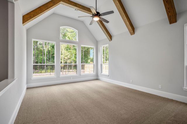 41843 Wendele Way, Todd Mission, TX 77316