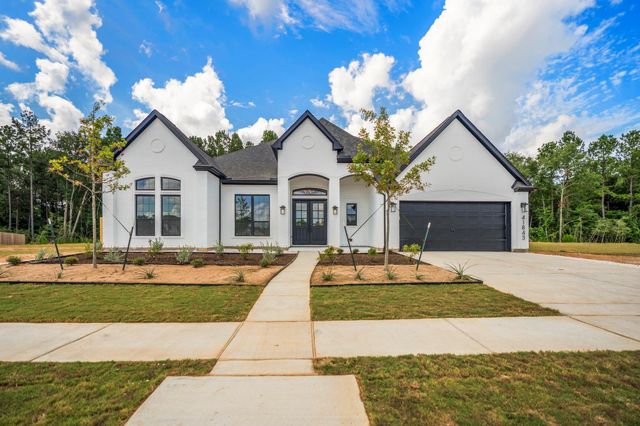 41843 Wendele Way, Todd Mission, TX 77316