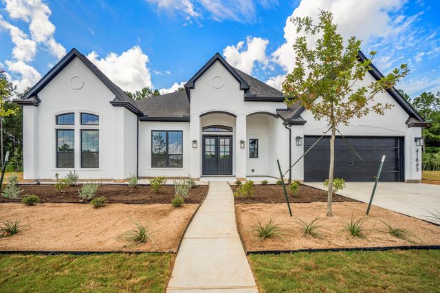 41843 Wendele Way, Todd Mission, TX 77316