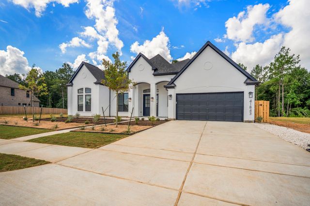 41843 Wendele Way, Todd Mission, TX 77316