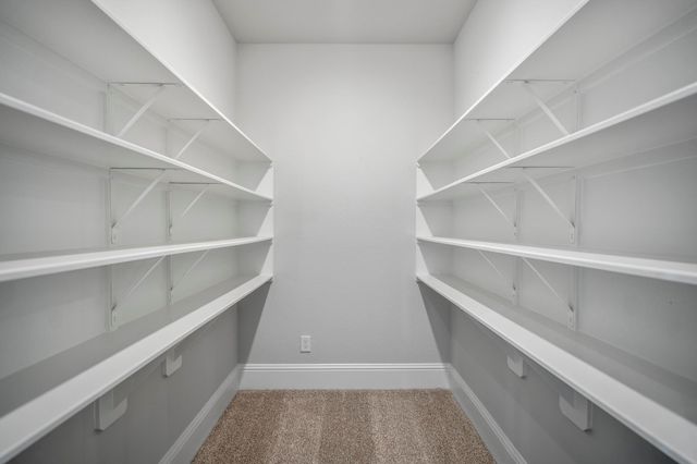 41843 Wendele Way, Todd Mission, TX 77316