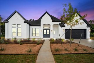 41843 Wendele Way, Todd Mission, TX 77316