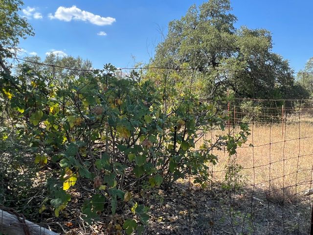 12609 Pauls Valley RD, Austin, TX 78737