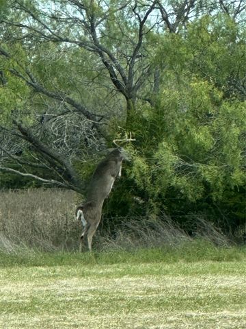 989 N Fm 55, Barry, TX 75102