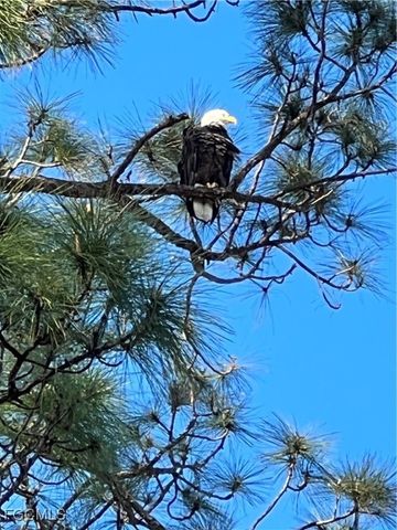 9618 Hemingway LN 3904, Fort Myers, FL 33913