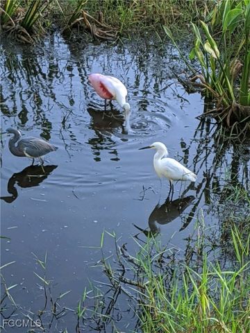 9618 Hemingway LN 3904, Fort Myers, FL 33913