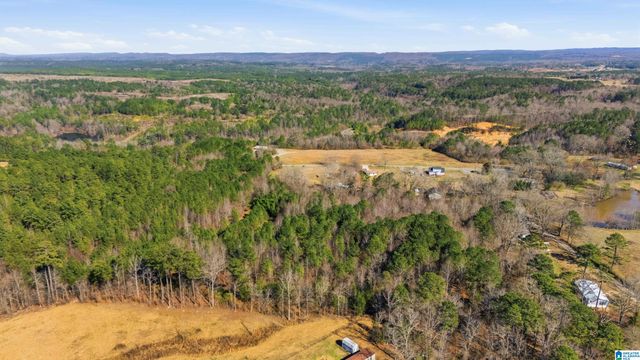 5330 DEANS FERRY ROAD, Trafford, AL 35172