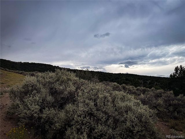 00 Rodriguez Road, Fort Garland, CO 81133