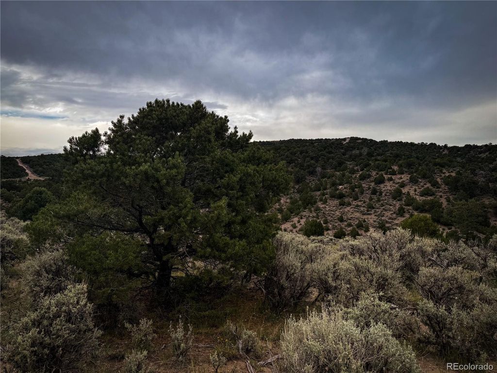 00 Rodriguez Road, Fort Garland, CO 81133