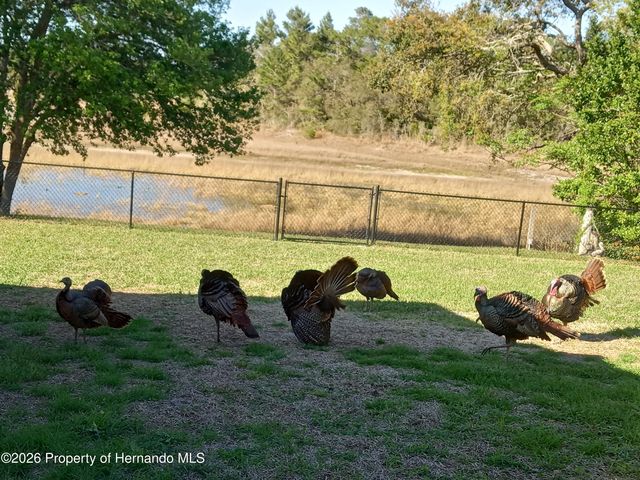 4459 Bayridge Court 26, Spring Hill, FL 34606