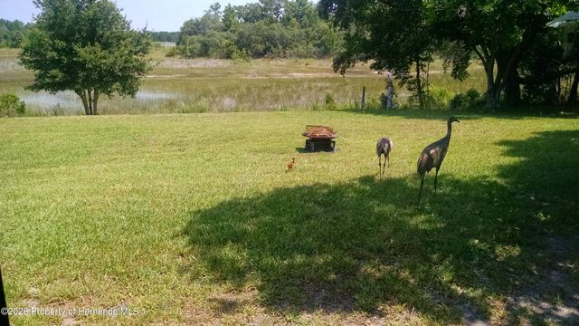 4459 Bayridge Court 26, Spring Hill, FL 34606