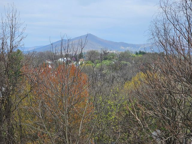 1332 Morningside ST, Roanoke, VA 24013