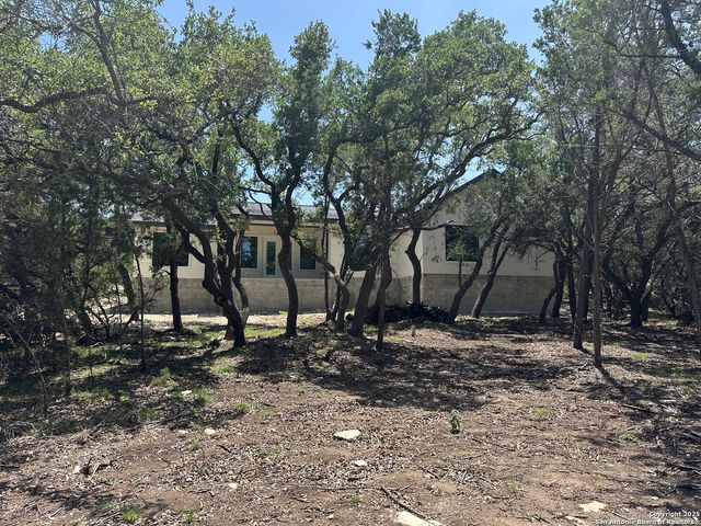 1229 Stallion Springs Dr, Fischer, TX 78623