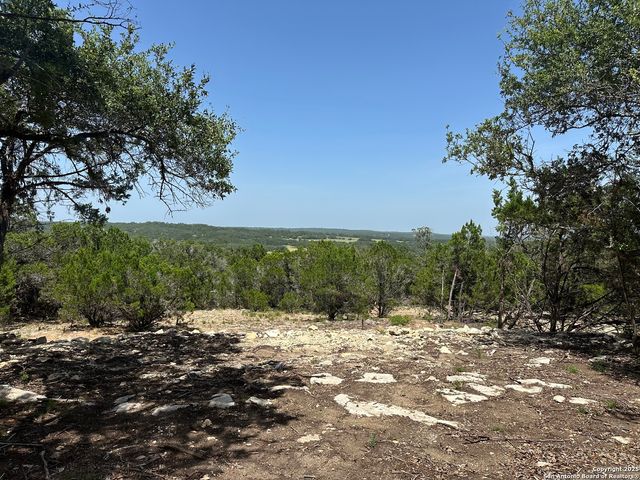 1229 Stallion Springs Dr, Fischer, TX 78623