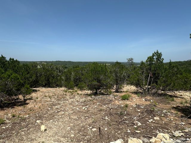 1229 Stallion Springs Dr, Fischer, TX 78623