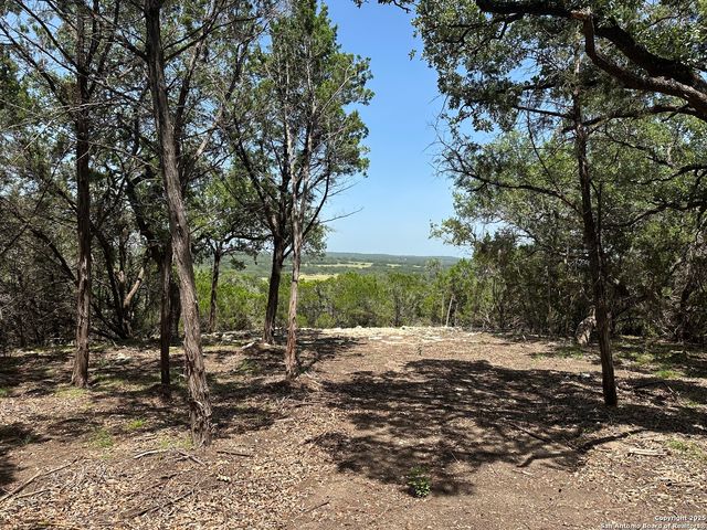 1229 Stallion Springs Dr, Fischer, TX 78623