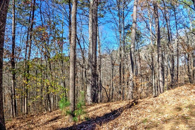 134 Nicholson Lane, Talking Rock, GA 30540