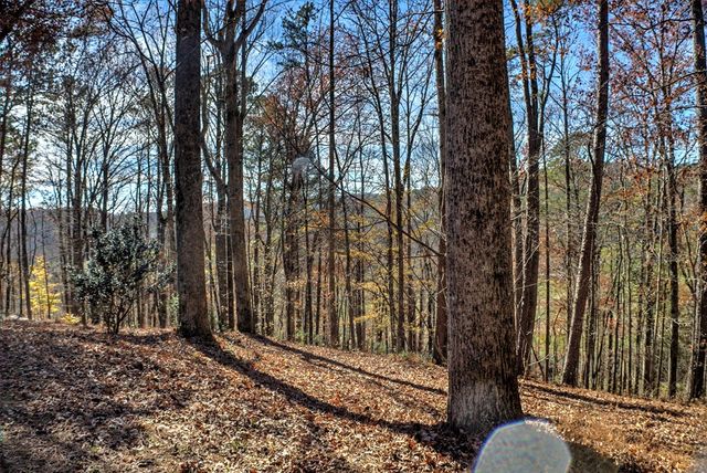 134 Nicholson Lane, Talking Rock, GA 30540