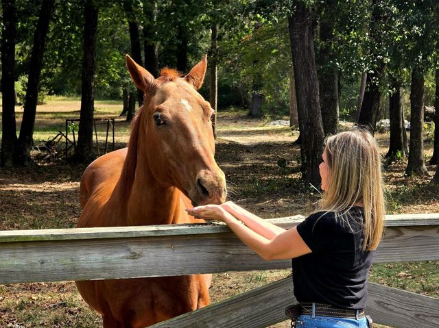 10205 Fostoria Road, Cleveland, TX 77328