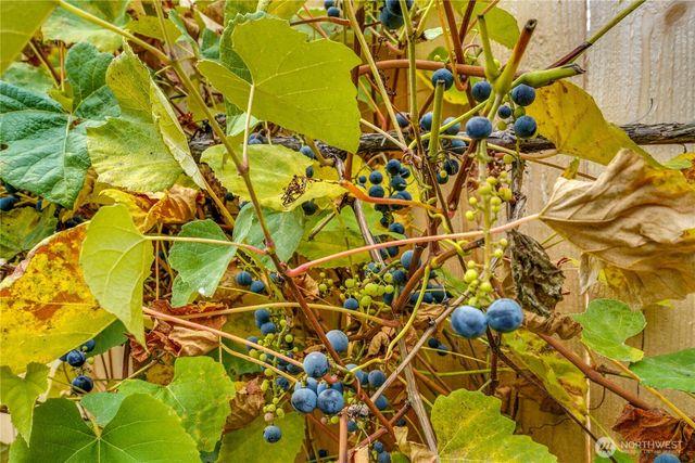 9711 223rd Street SE, Snohomish, WA 98296