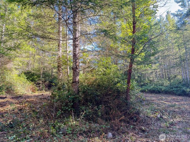 222 x Octopus Court, Quilcene, WA 98376