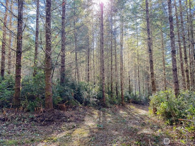 222 x Octopus Court, Quilcene, WA 98376