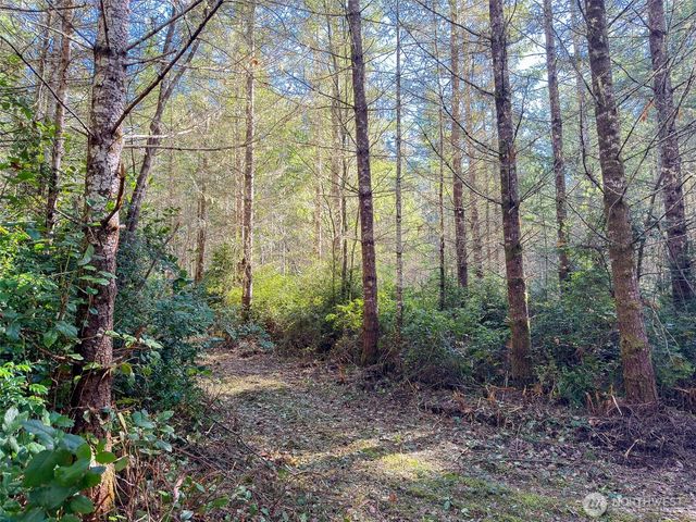 222 x Octopus Court, Quilcene, WA 98376