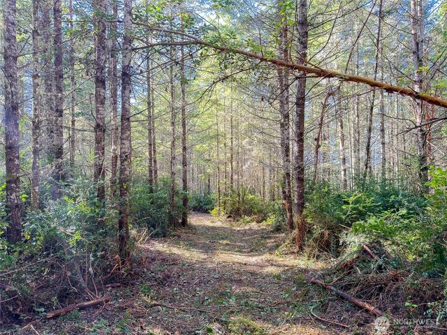 222 x Octopus Court, Quilcene, WA 98376