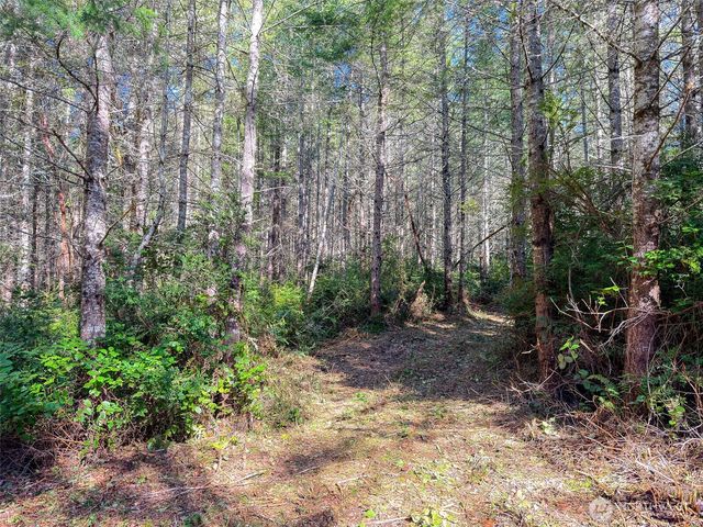 222 x Octopus Court, Quilcene, WA 98376