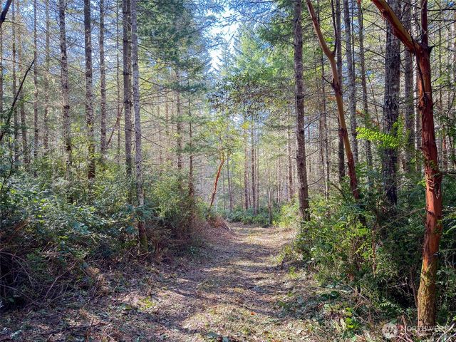 222 x Octopus Court, Quilcene, WA 98376