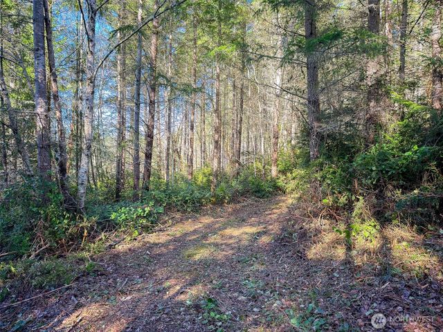 222 x Octopus Court, Quilcene, WA 98376